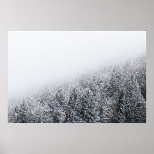 Bevroren bos poster (Voorkant)