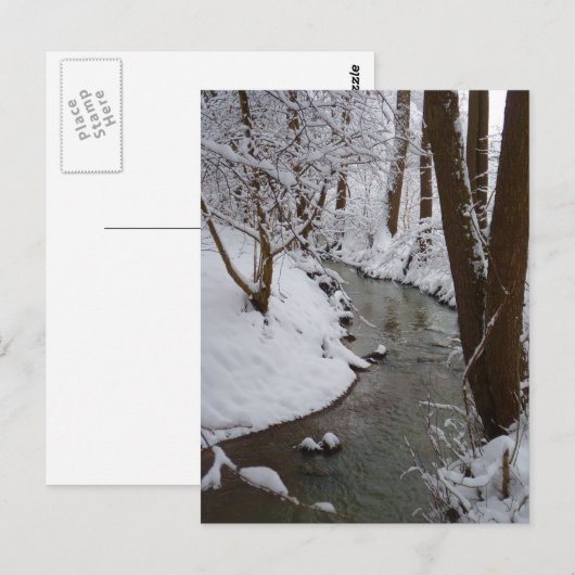 Bevroren bosrivier briefkaart (Voorkant / Achterkant)