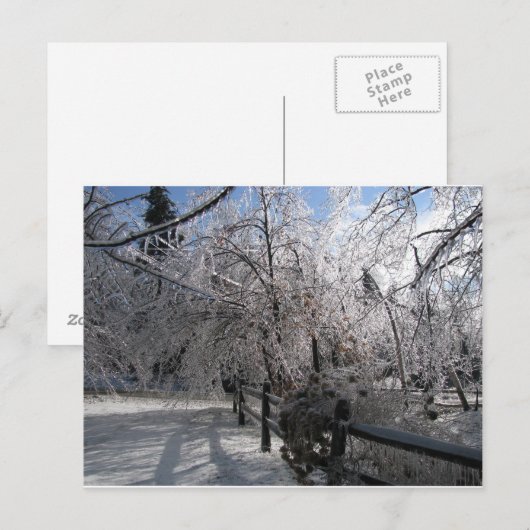 Bevroren Briefkaart (Voorkant / Achterkant)