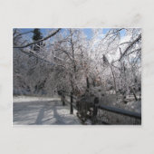 Bevroren Briefkaart (Voorkant)