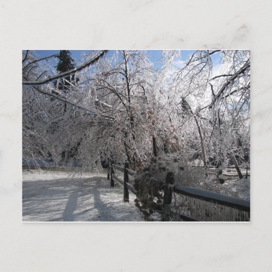 Bevroren Briefkaart (Voorkant)