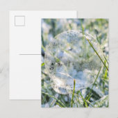 Bevroren bubbels briefkaart (Voorkant / Achterkant)