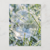 Bevroren bubbels briefkaart (Voorkant)