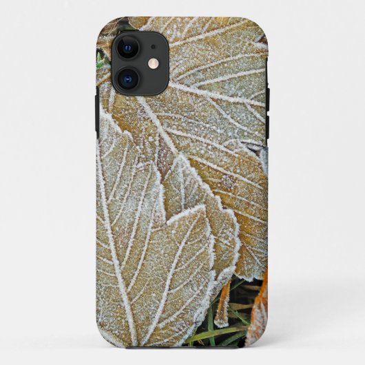 Bevroren esdoorn iPhone 5 Casemate hoes (Achterkant)