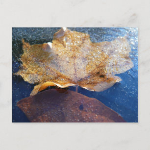 Bevroren Gele Esdoornblad Herfst Natuur Briefkaart