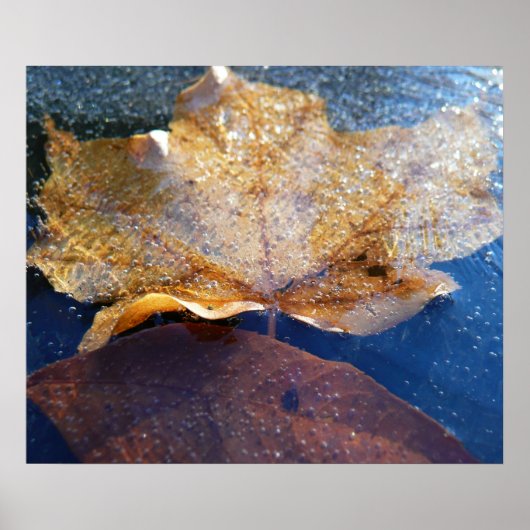 Bevroren Gele Esdoornblad Herfst Natuur Poster (Voorkant)