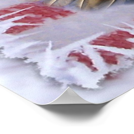 Bevroren glorie poster (Hoek)