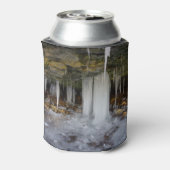 Bevroren grot blikjeskoeler (Blikje Achterkant)