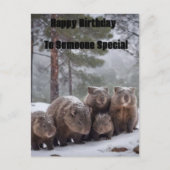 Bevroren Hol: Australisch Wombat Familie, Verjaard Briefkaart (Voorkant)