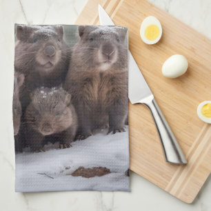 Bevroren hol: Australische wombatfamilie Theedoek