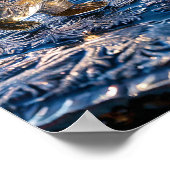 Bevroren ijsbeer poster (Hoek)