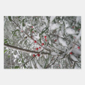 Bevroren Inpakpapier Vel (Voorkant 3)