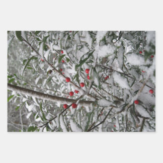 Bevroren Inpakpapier Vel