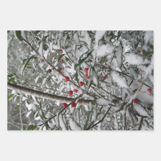 Bevroren Inpakpapier Vel (Voorkant 3)