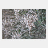 Bevroren Inpakpapier Vel (Voorkant)