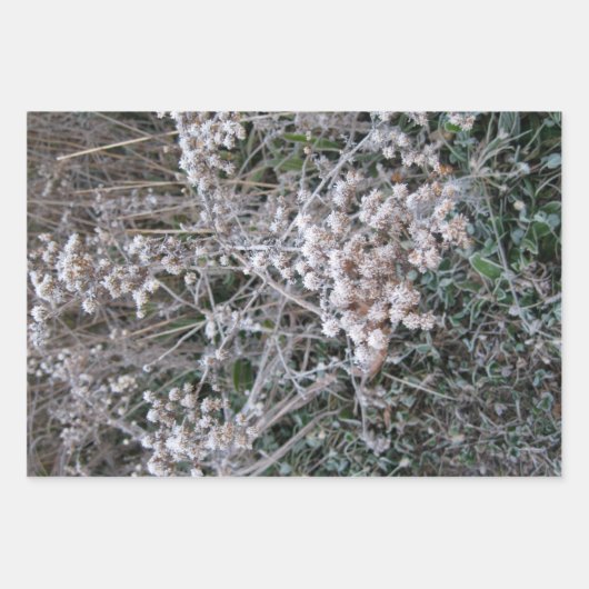 Bevroren Inpakpapier Vel (Voorkant)