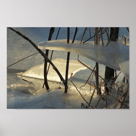 Bevroren moerasijs Maine Winterlandschap Poster (Voorkant)