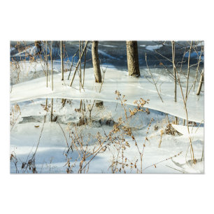 Bevroren moerasijs winterlandschap fijnere kunst foto afdruk