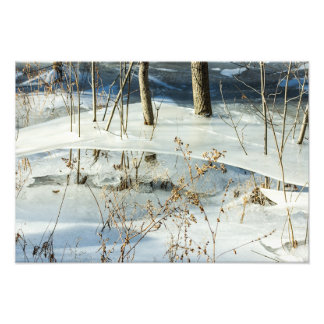 Bevroren moerasijs winterlandschap fijnere kunst foto afdruk