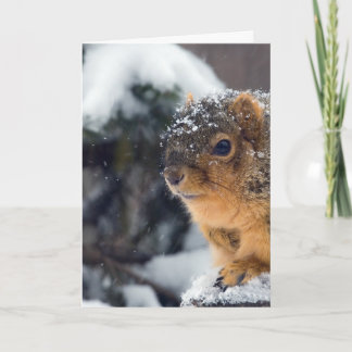 Bevroren noten worden snel beter kaart