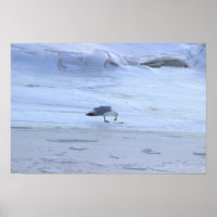 Bevroren Oceaan met Poster van Zeemeeuw