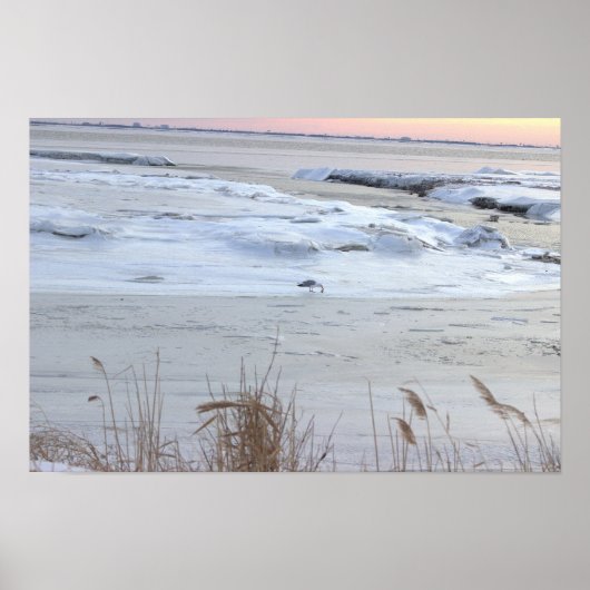Bevroren Oceaan met Zeemeeuw Poster (Voorkant)