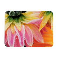 Bevroren op de laatste bloei van de herfst - Dalhi