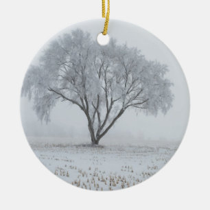 Bevroren op een eenzame boom keramisch ornament