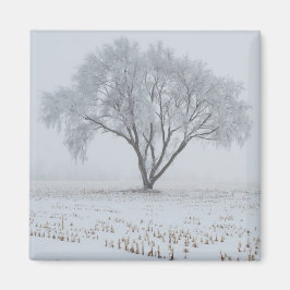 Bevroren op een eenzame boom magneet