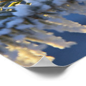 Bevroren op evergreen tree, Homer, Alaska Poster (Hoek)