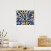 Bevroren op evergreen tree, Homer, Alaska Poster (Keuken)