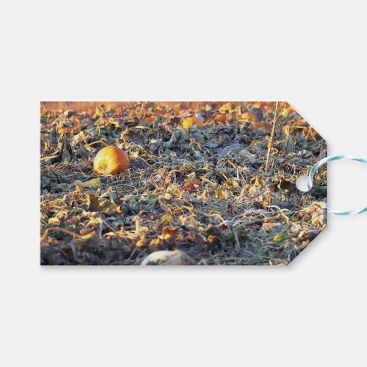 Bevroren Pompoenveld Cadeaulabel (Voorkant (Horizontaal))