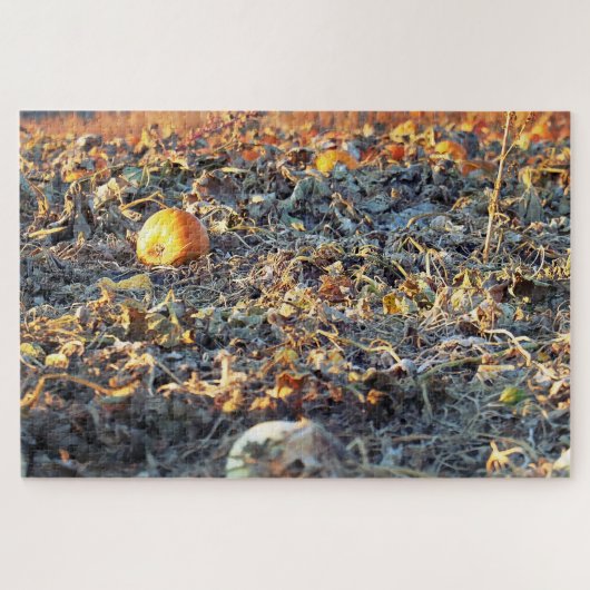 Bevroren Pompoenveld Legpuzzel (Horizontaal)