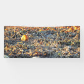 Bevroren Pompoenveld Spandoek (Horizontaal)