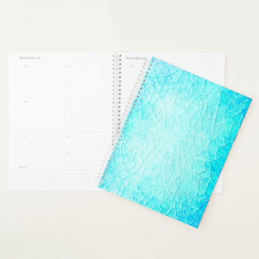 Bevroren Pond Turquoise Planner (Display)