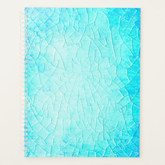 Bevroren Pond Turquoise Planner (Voorkant)