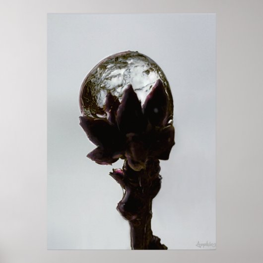 Bevroren regendruppels op boomtakfoto poster (Voorkant)