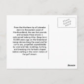 Bevroren reuzenant briefkaart (Achterkant)