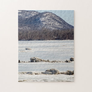 Bevroren rivier legpuzzel