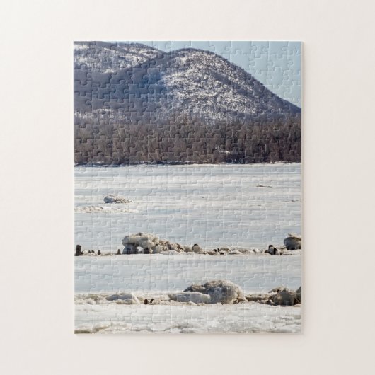 Bevroren rivier legpuzzel (Verticaal)