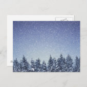 Bevroren sneeuwwinterbos briefkaart (Voorkant / Achterkant)