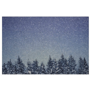 Bevroren sneeuwwinterbos stof