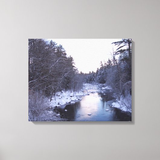 Bevroren Snow Canvas Afdruk (Voorkant)