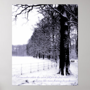 bevroren tranen poster