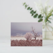 Bevroren Uitzicht van Antelope Island - Utah - Bri Briefkaart (Staand voorkant)