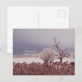 Bevroren Uitzicht van Antelope Island - Utah - Bri Briefkaart (Voorkant / Achterkant)