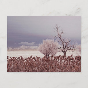 Bevroren Uitzicht van Antelope Island - Utah - Bri Briefkaart