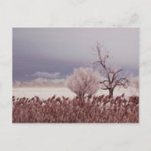 Bevroren Uitzicht van Antelope Island - Utah - Bri Briefkaart (Voorkant)