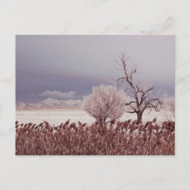 Bevroren Uitzicht van Antelope Island - Utah - Bri Briefkaart