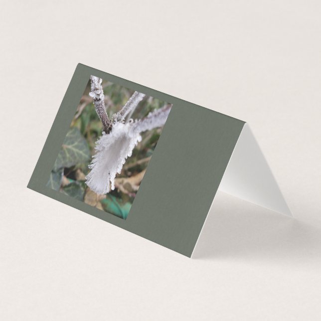 bevroren veer kaart (Voorkant)